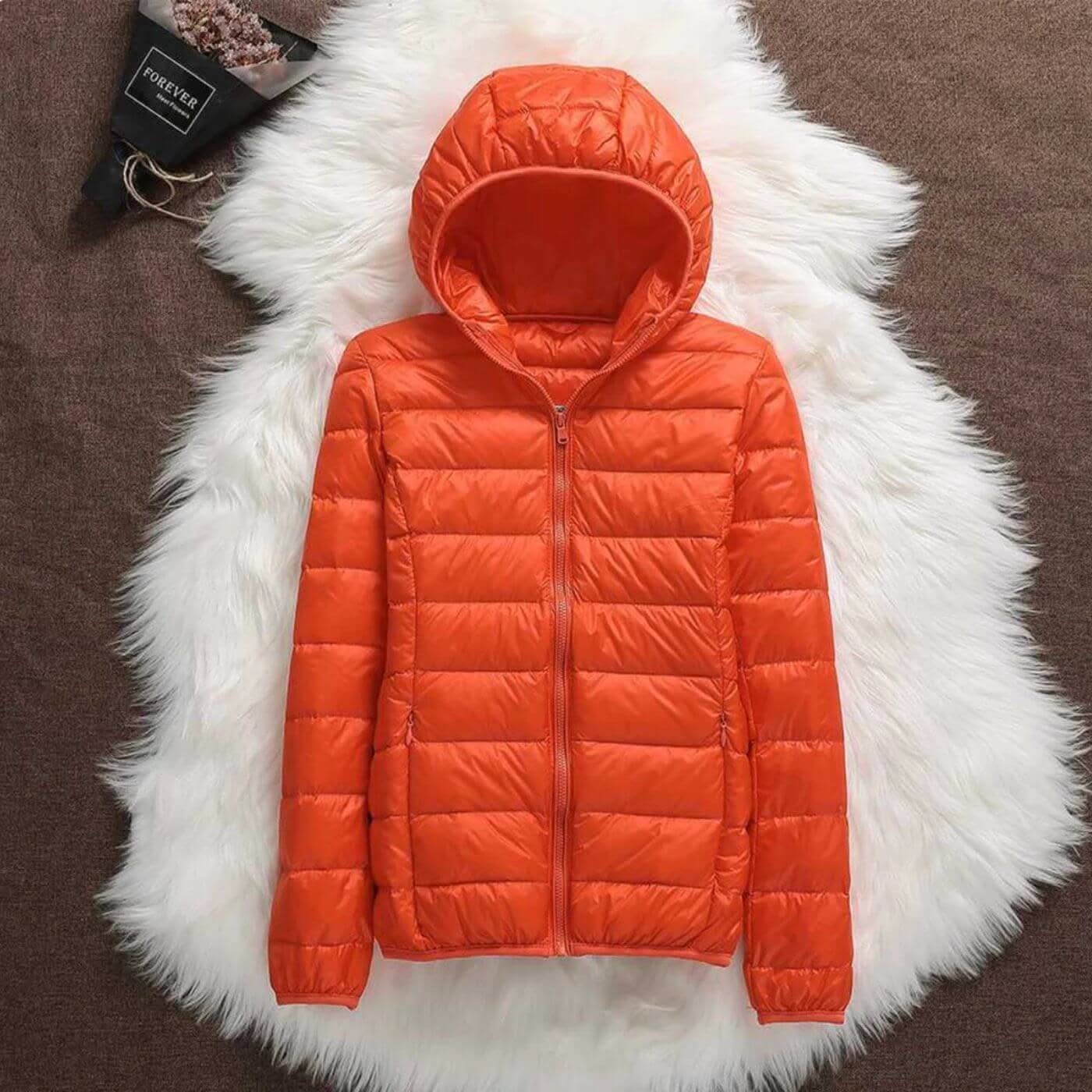 Aurora Wind-Proof Jacket