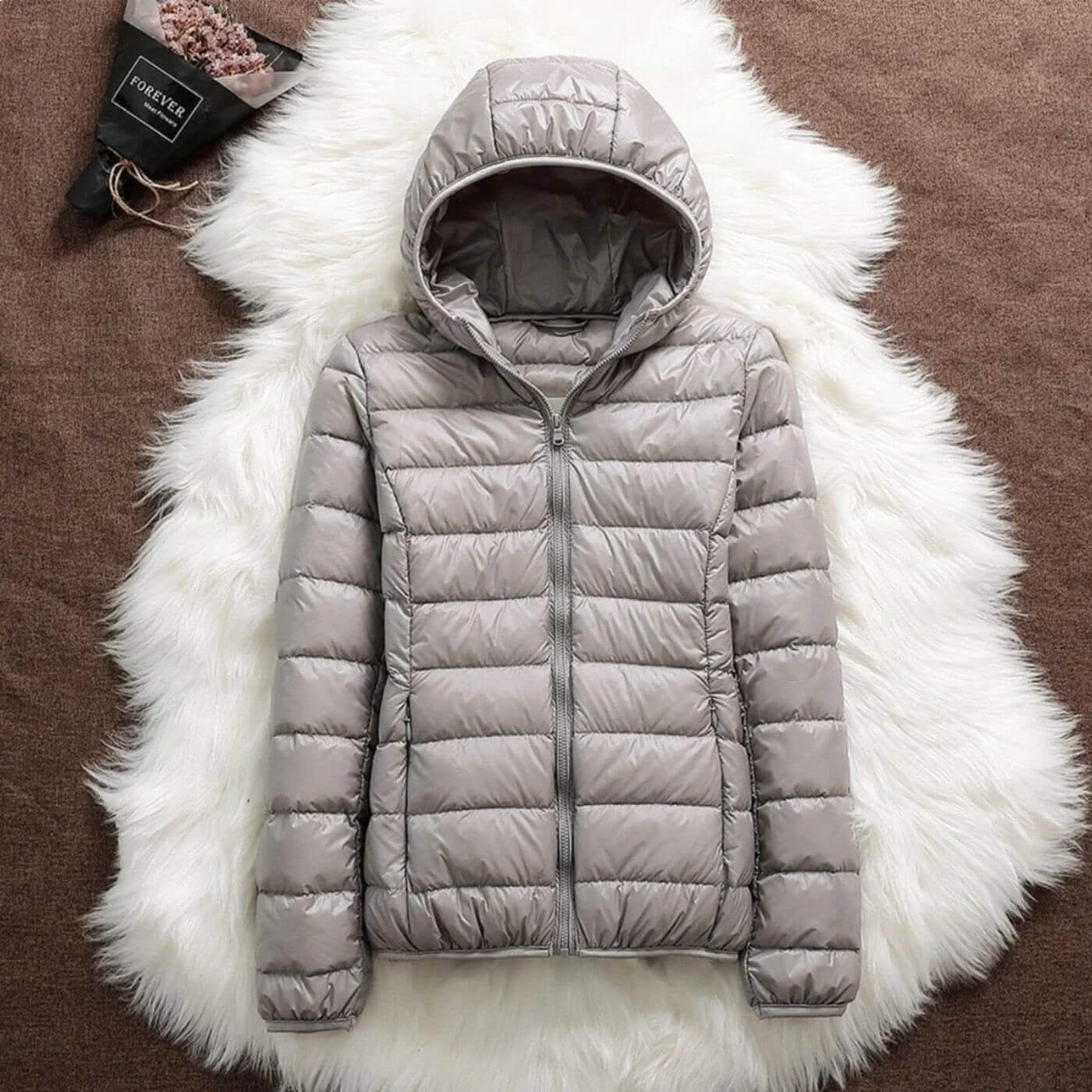 Aurora Wind-Proof Jacket
