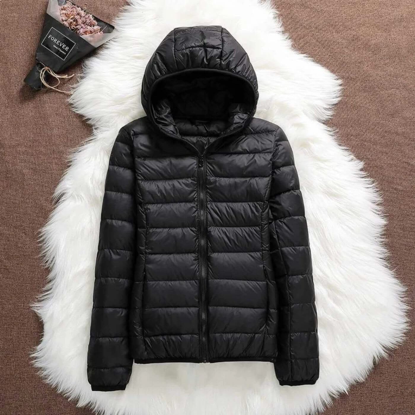 Aurora Wind-Proof Jacket